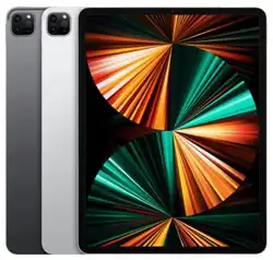 iPad Pro 12.9 (2015-2022)