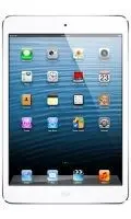 iPad Mini